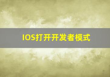 IOS打开开发者模式