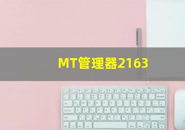 MT管理器2163