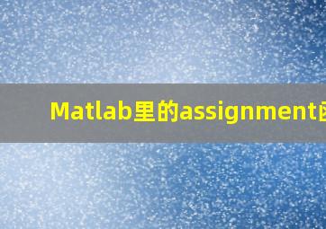 Matlab里的assignment函数