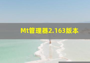 Mt管理器2.163版本