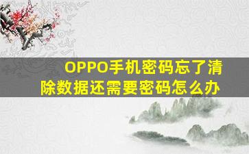 OPPO手机密码忘了清除数据还需要密码怎么办