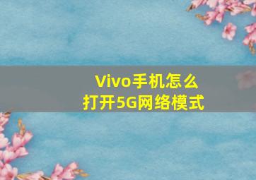 Vivo手机怎么打开5G网络模式