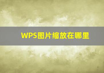 WPS图片缩放在哪里