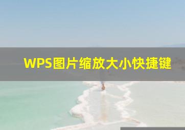 WPS图片缩放大小快捷键