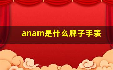 anam是什么牌子手表