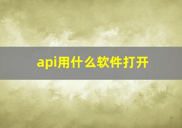 api用什么软件打开