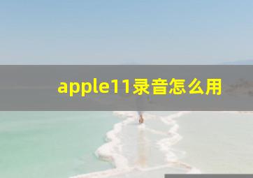 apple11录音怎么用