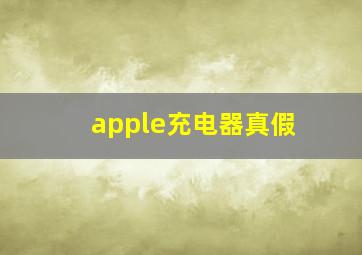 apple充电器真假