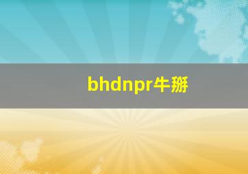 bhdnpr牛掰