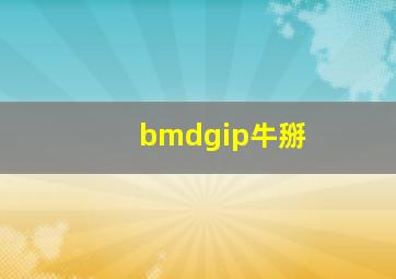 bmdgip牛掰