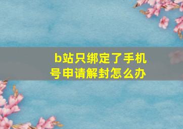 b站只绑定了手机号申请解封怎么办