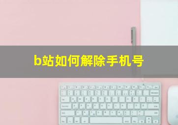 b站如何解除手机号