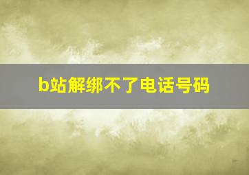 b站解绑不了电话号码