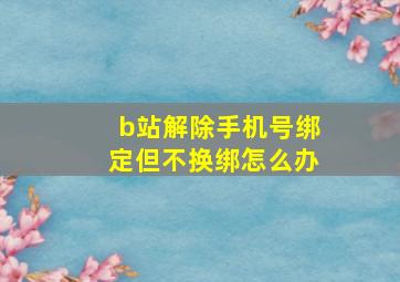 b站解除手机号绑定但不换绑怎么办