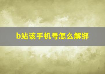 b站该手机号怎么解绑