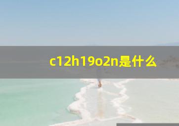 c12h19o2n是什么