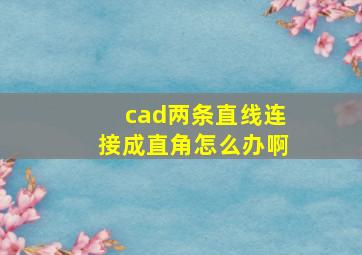 cad两条直线连接成直角怎么办啊