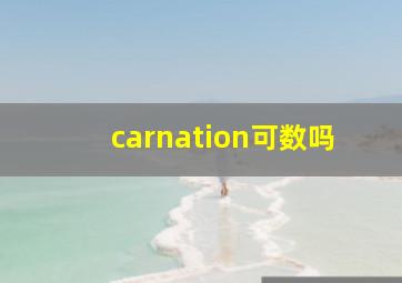 carnation可数吗