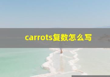 carrots复数怎么写