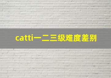 catti一二三级难度差别