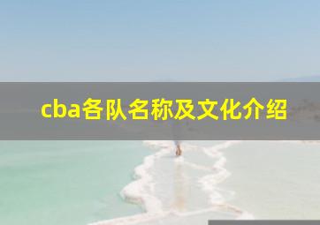 cba各队名称及文化介绍