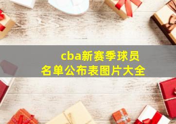 cba新赛季球员名单公布表图片大全