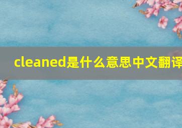 cleaned是什么意思中文翻译