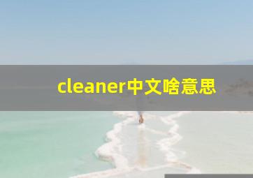 cleaner中文啥意思