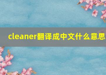 cleaner翻译成中文什么意思