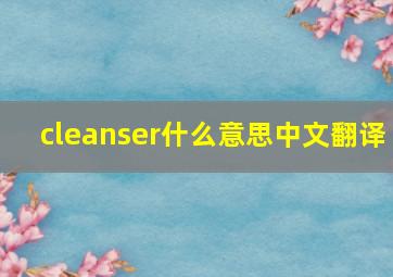 cleanser什么意思中文翻译