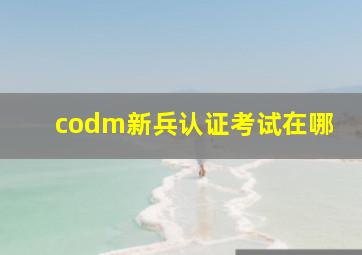 codm新兵认证考试在哪