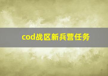 cod战区新兵营任务