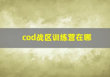 cod战区训练营在哪