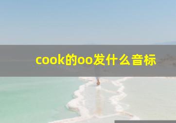 cook的oo发什么音标