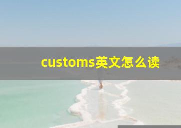 customs英文怎么读