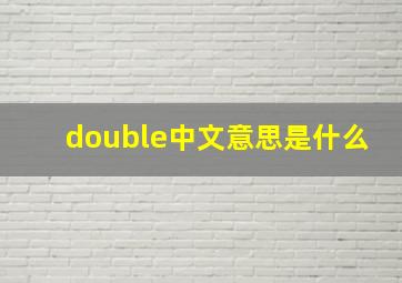 double中文意思是什么