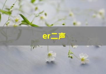 er二声