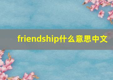 friendship什么意思中文