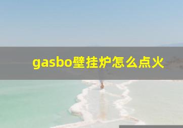 gasbo壁挂炉怎么点火