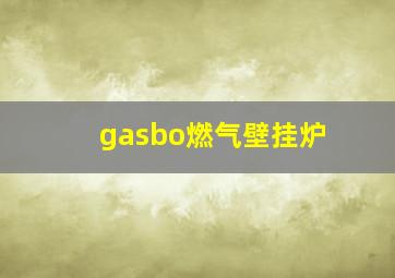 gasbo燃气壁挂炉