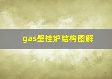 gas壁挂炉结构图解