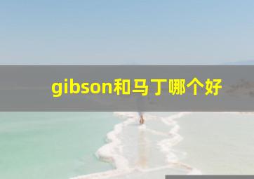 gibson和马丁哪个好