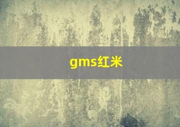 gms红米