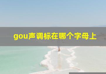 gou声调标在哪个字母上