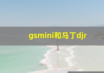 gsmini和马丁djr