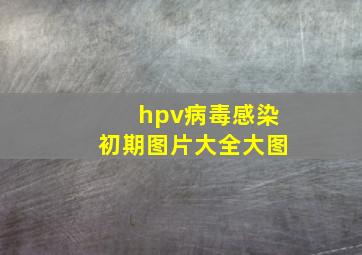 hpv病毒感染初期图片大全大图