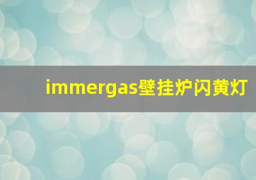 immergas壁挂炉闪黄灯