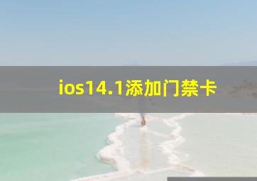 ios14.1添加门禁卡