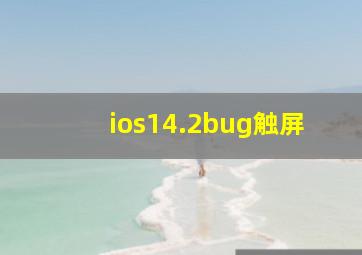 ios14.2bug触屏