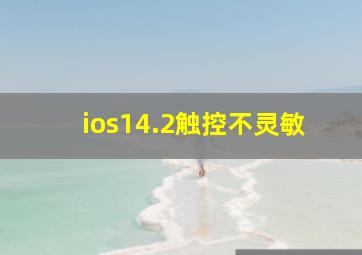 ios14.2触控不灵敏